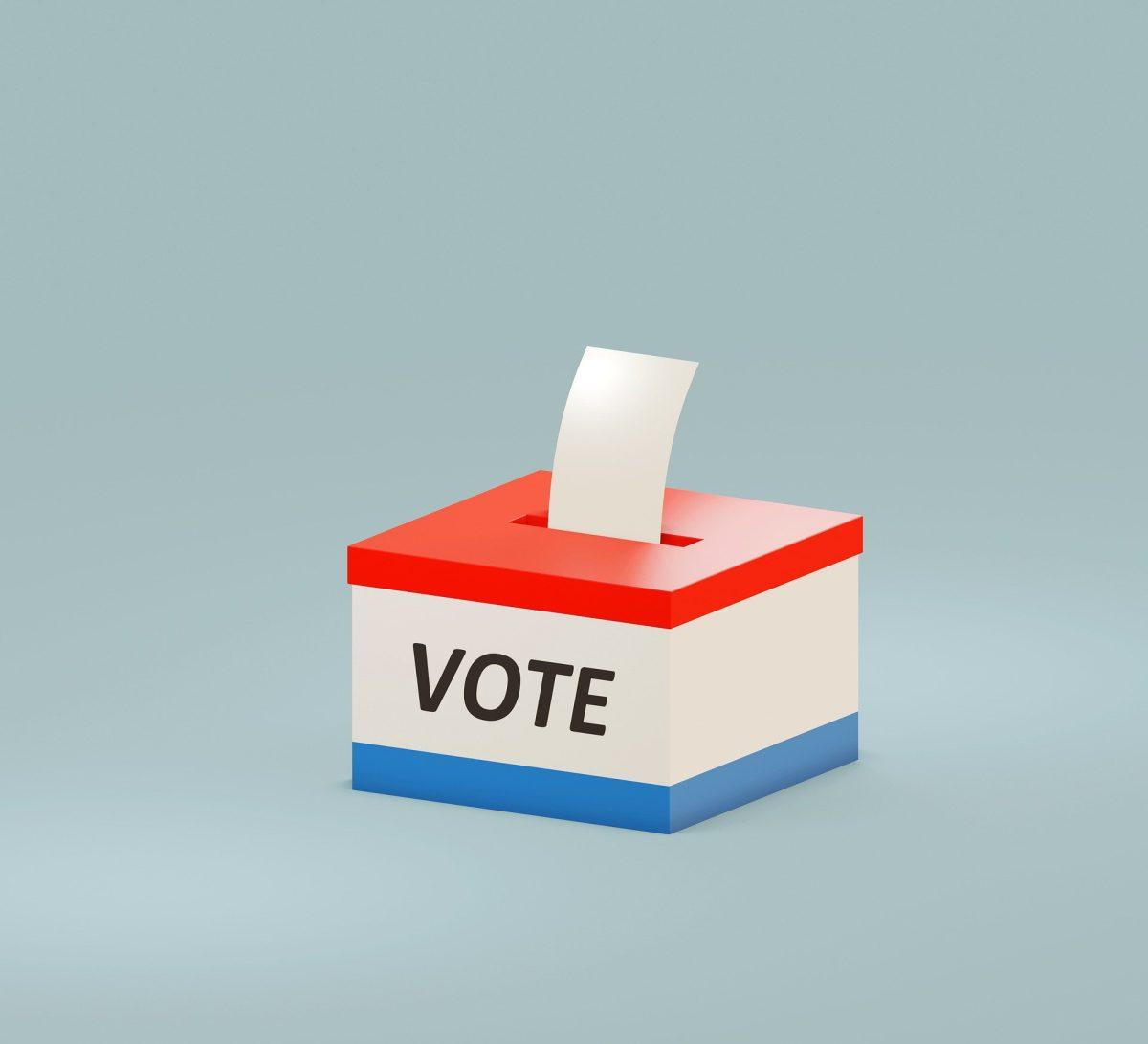 PHOTO COURTESY OF GOOGLE IMAGES/Voters turned out to the polls on Nov 3 for state and federal elections.