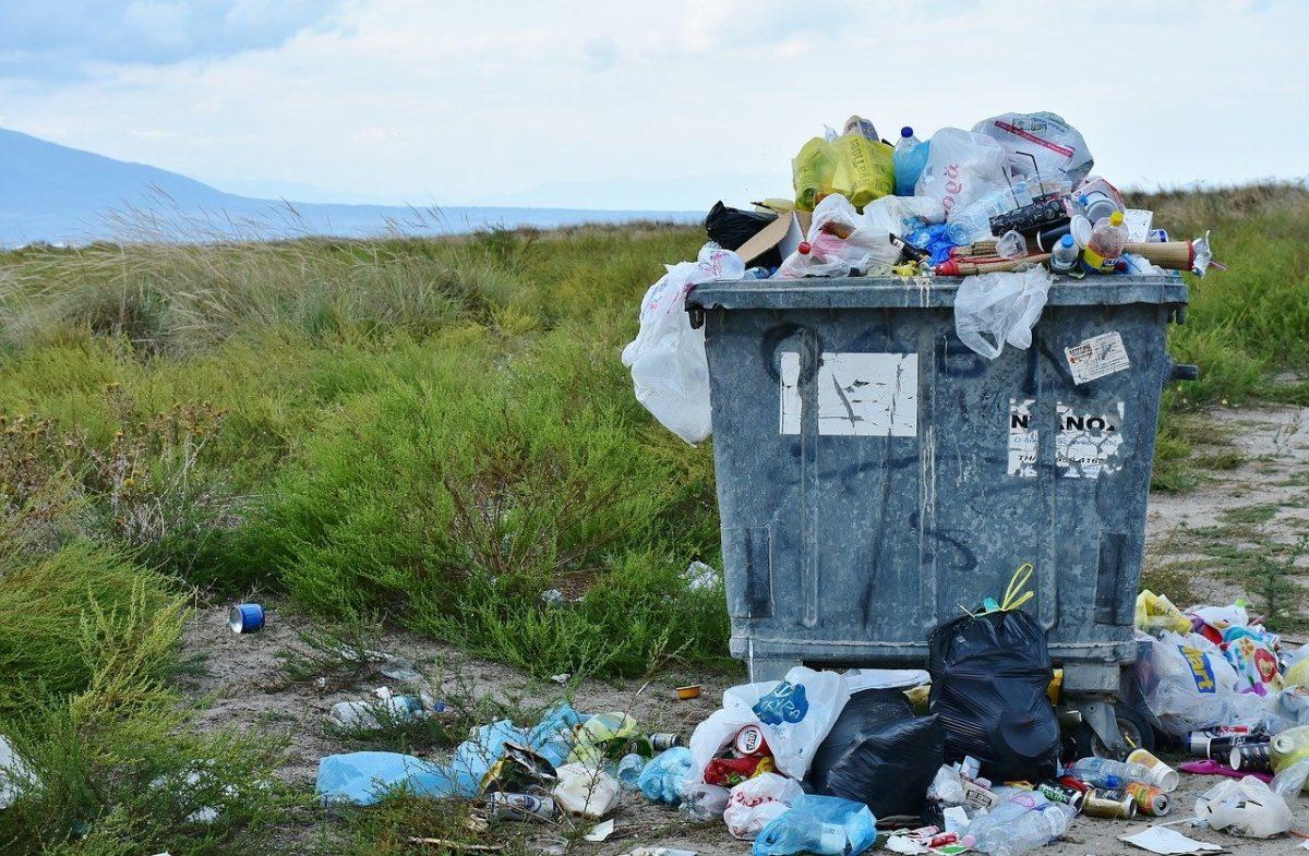 Trash Sculpture Collaboration: A Recap